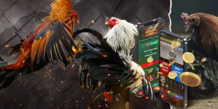 Toàn Tập Cách Chơi Đá Gà GA28 Tại 69VN Cho Người Mới 2 Toàn Tập Cách Chơi Đá Gà GA28 Tại 69VN Cho Người Mới