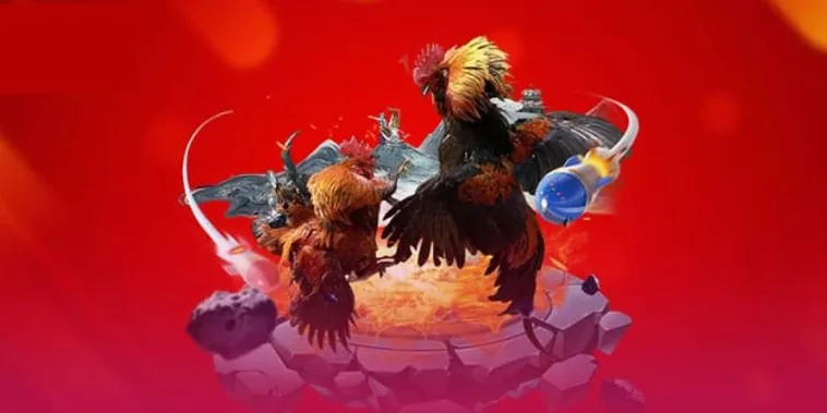 Đá Gà 69VN Trực Tiếp Kịch Tính Cược Đâu Thắng Đó Cùng Cao Thủ 1 Đá Gà 69VN Trực Tiếp Kịch Tính Cược Đâu Thắng Đó Cùng Cao Thủ