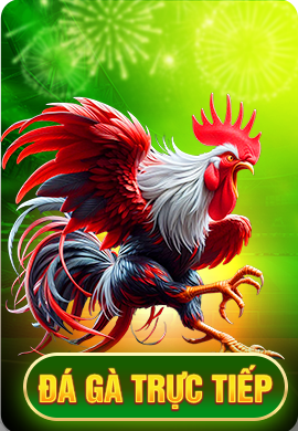 Trang chủ 14 da ga