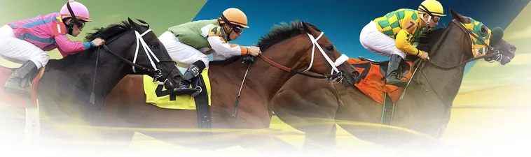 Bật Mí Cách Cá Cược Đua Ngựa 69VN Chắc Thắng Từ Trường Đua